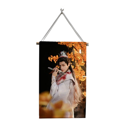 水龙吟罗云熙唐俪辞周边布艺挂画来图定制照片海报手办装饰卷轴