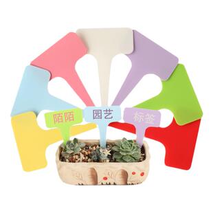 加厚塑料多肉标签园艺T型标识牌名字标签防水小插牌花卉牌满包邮