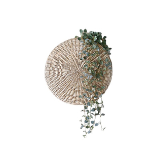 北欧INS仿真植物墙壁装饰藤条绿萝挂花吊篮挂藤