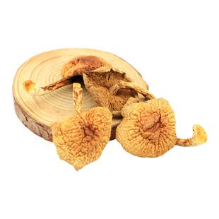 东北大兴安岭菌菇滑子蘑蘑菇干货滑子菇小黄蘑香菇滑子菇包邮500g