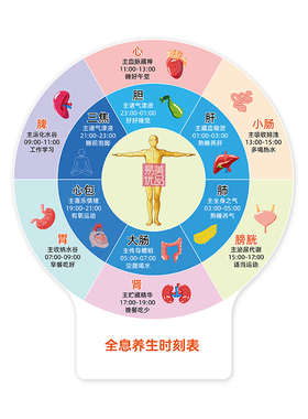 人体器官作息时间表ins风桌摆全息养生时刻表亚克力养生作息自律