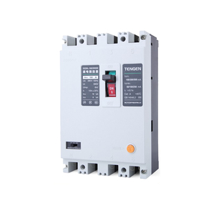 TENGEN天正 DZ20L-160/3N300 160A漏电塑壳断路器三相四线380开关