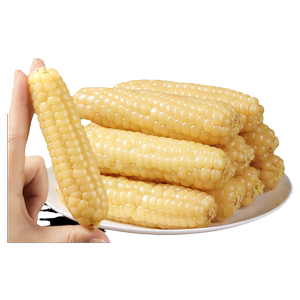 云南西双版纳拇指小玉米新鲜手指香糯玉米黏早餐即食真空甜糯玉米