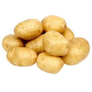 高产荷兰黄心土豆种子费乌瑞它黄皮土豆种脱毒马铃薯种子带芽秋季