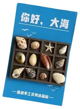 贝壳磁吸冰箱贴小摆件