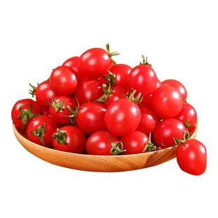 圣女果千禧小番茄自然熟新鲜水果当季整箱爆汁西红柿生吃包邮