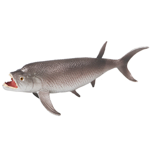 林畅模玩白垩纪史前海洋动物剑射鱼模型儿童玩具仿真远古鱼类认识