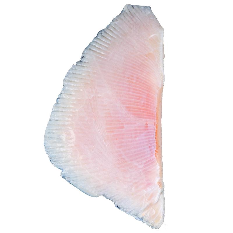 新鮮鰩魚大翅超大冷凍3斤海鮮水產(chǎn)魔鬼魚瑤魚翅鰭鰩魚翅老板搖魚
