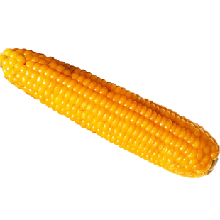 真空笨玉米老嫩玉米棒农村新鲜老式传统黄玉米不粘不甜老品种5斤