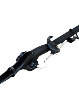 德国进口威斯法利车顶自行架