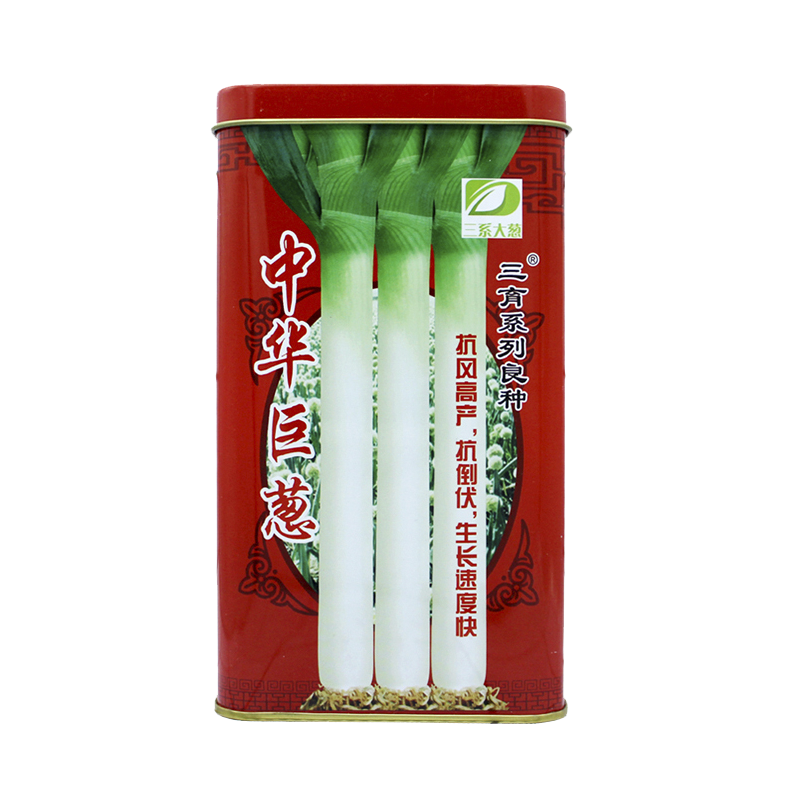 山东正宗大葱种子章丘葱籽葱白长抗倒伏耐寒中华巨葱四季葱子包邮
