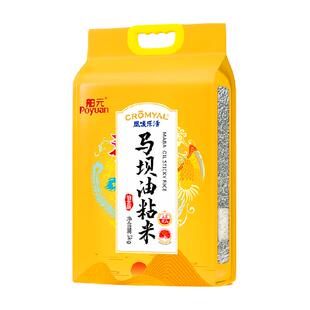 舶元马坝油粘米5kg广东特产丝苗米软糯弹牙煲仔饭用籼米地标认证