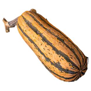 蜂蜜船小南瓜种子早熟浓郁超甜坚果味耐存储传家宝春秋阳台盆栽