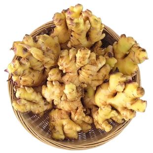 云南小黄姜生姜批发1/2/3/5/9斤现挖新姜嫩姜老姜仔姜月子姜沙姜