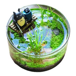 微景观钓鱼桌面小鱼缸紫砂陶瓷玻璃缸植物水草种子创意diy盆栽