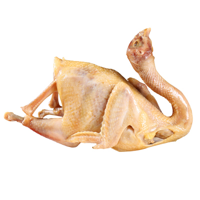 句容人家中国大陆茅山特产土鸡