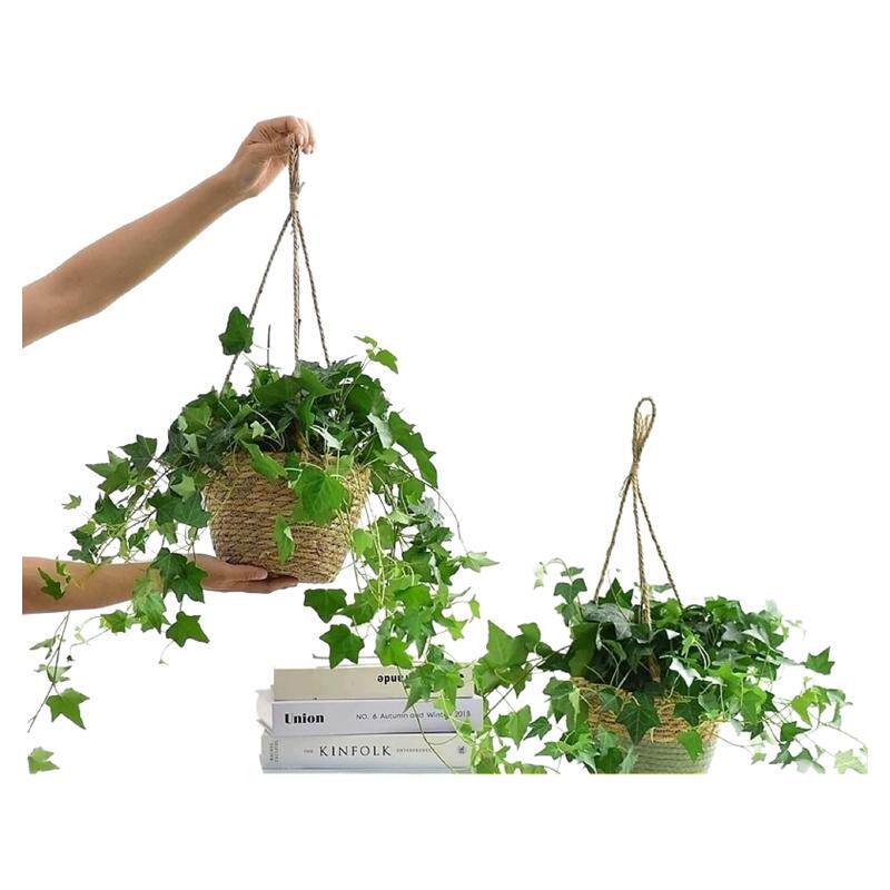 户外悬挂花盆花篮吊篮编织草编吊兰挂盆藤编花篮垂吊挂式壁挂吊盆