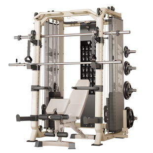 史密斯机综合训练器龙门架健身器材家用多功能一体飞鸟深蹲卧推架