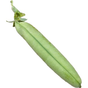 甜脆青豌豆种子豌豆种籽甜苗种豌豆苗尖种蔬菜孑菜豌豆碗豆种