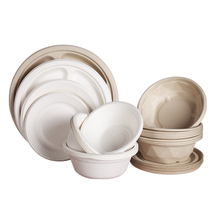 一次性纸盘画画手工环保甘蔗浆可降解纸浆家用户外烧烤盘骨碟子