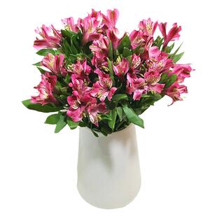 云南昆明基地直发水仙百合鲜花花束六出花批 发家用室内空运包邮