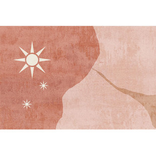 ins北欧风房间客厅沙发茶几垫现代简约可睡可坐卧室床边满铺地毯