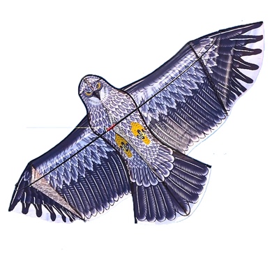 【2025经典老鹰风筝】嘎嘎好飞