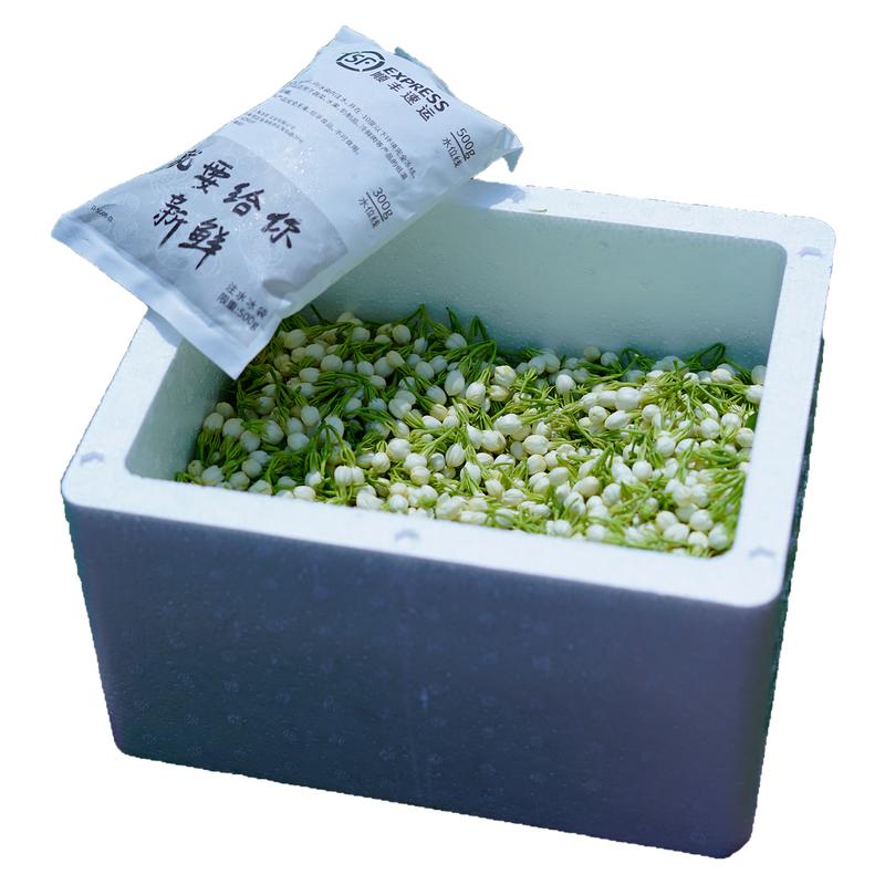 茉莉花鲜花广西横县现摘可食用