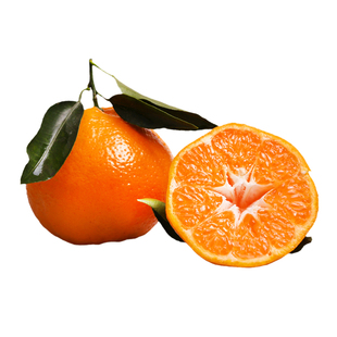 现摘正宗四川眉山特产丹棱春见耙耙柑孕妇宝宝新鲜应季水果5/10斤