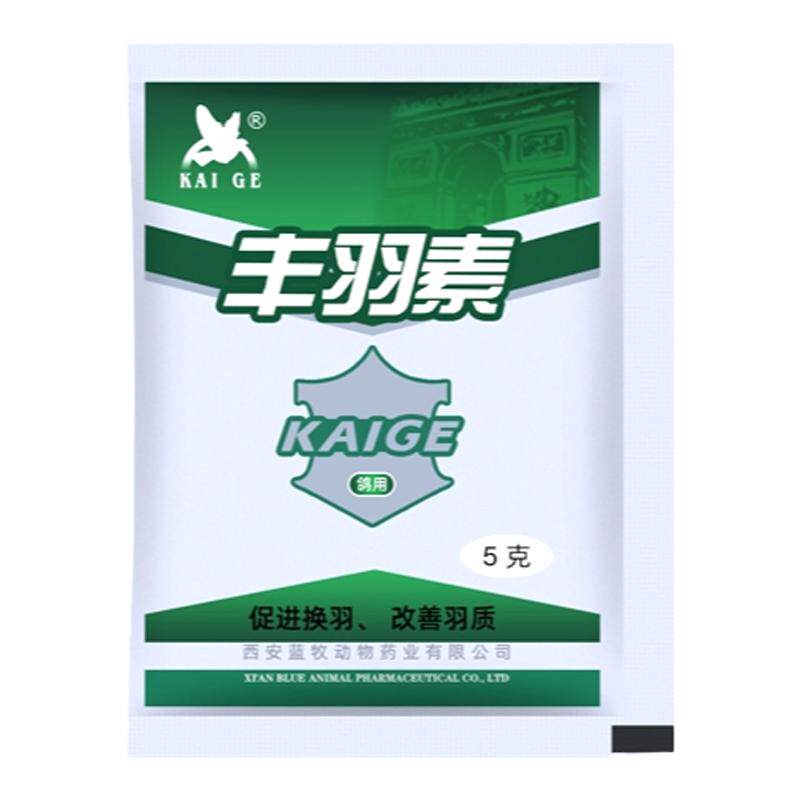 凯鸽鸽益生菌活性菌肝精凯歌电解质玄凤常用凯哥鹦鹉鸟专用