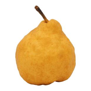 中华丑梨山东烟台莱阳软糯香甜啤梨子孕妇水果新鲜当季整箱4.5斤