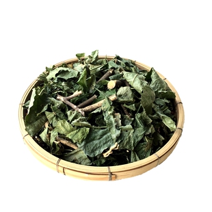三叉苦干片新货德庆深山中药材清热毒去痱子三叉虎三桠苦500g散装
