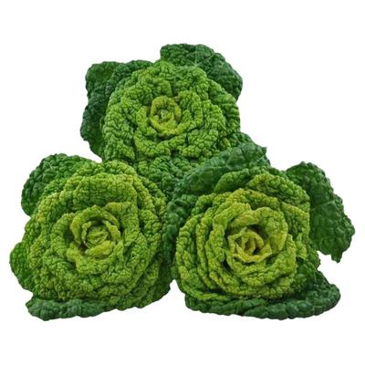 黄心菜乌塌菜菊花心黄心乌青菜