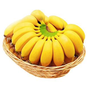正宗广西小米蕉香蕉新鲜水果整箱斤当季小香蕉粉蕉自然熟苹果蕉