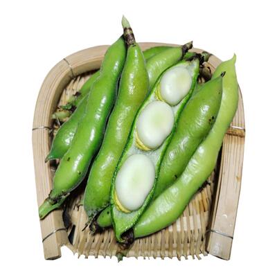 云南带壳蚕豆新鲜农家直供