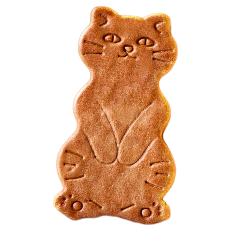 黄油猫酪饼干曲奇薄脆
