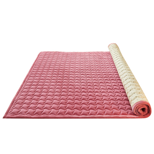 抗菌防螨牛奶法兰绒床垫褥子垫被冬季毛毯子垫子铺床毛绒学生宿舍