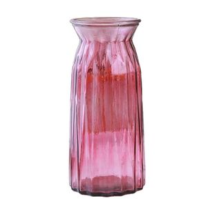 红色银柳专用花瓶摆件客厅插花玻璃瓶雪柳枝水培富贵竹子干花冬青