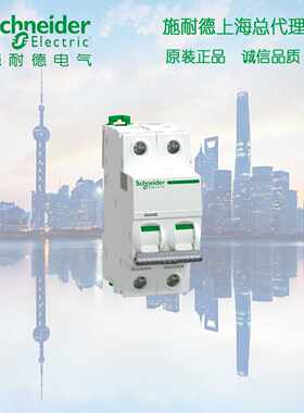 议价原装 A91NC216 施耐德 A9 Pro iC65N 小型断路器 C曲线 2P 16