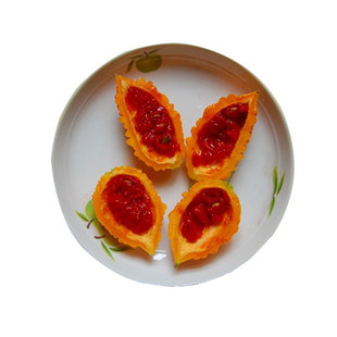 金铃子赖葡萄种子金癞瓜种籽苗四季金玲子小苦瓜春季盆栽蔬菜孑癞