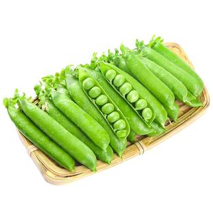 高山豌豆荚新鲜现摘带壳青豌豆角农家当季蔬菜露天甜豆角整箱包邮