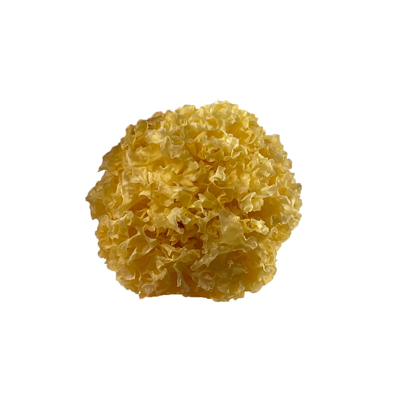 喜己食养·椴木小银耳260g*1袋丨胶质浓稠 四川通江优质椴木银耳