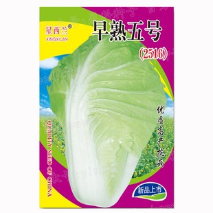 各种蔬菜种子大全菜园高产四季秋孑香菜萝卜白菜番茄生菜葱菠菜籽