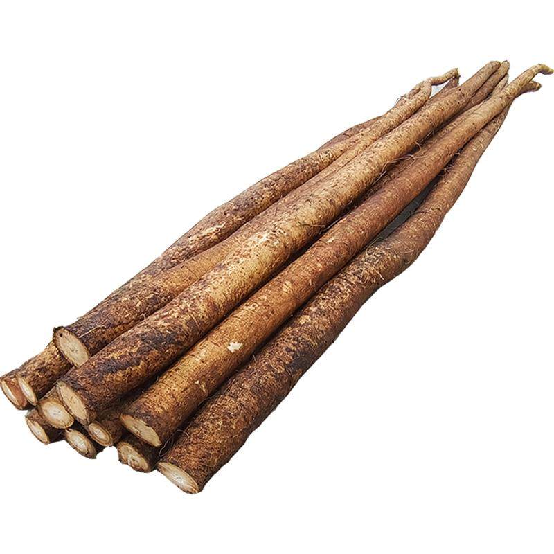 现挖牛蒡新鲜整根5斤优选兰陵苍山牛膀旁茶寿司料理紫菜包饭 原料