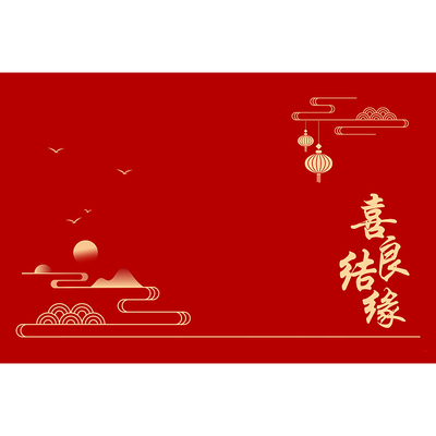 结婚专用地垫PVC皮革进门口地毯