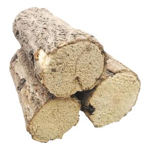 锹甲产卵木彩虹锹甲扁锹刀锹锯锹产卵木巴拉望巨扁苏门繁殖产房