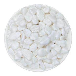 白石子造景石子白色鹅卵石石头南京雨花石鱼缸多肉铺面水培郁金香