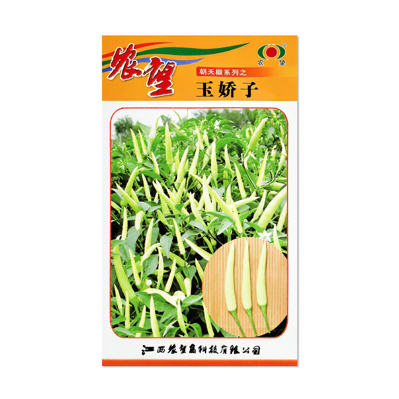 农望玉娇子辣椒种子白色朝天椒