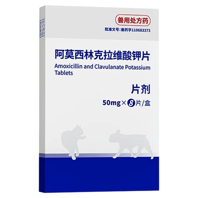 中农爱宠宠物猫狗消炎药阿莫西林