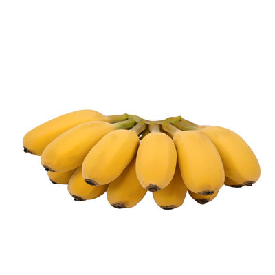 苹果正宗新鲜香蕉整箱自然熟海南